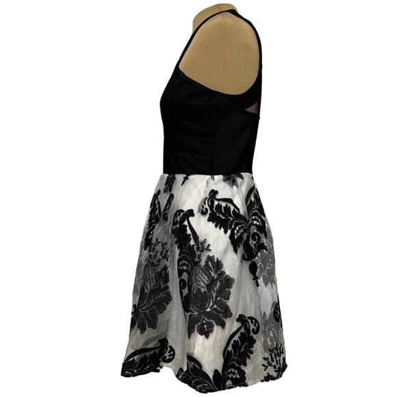 Crystal Doll Black & White Floral Velvet Fit & Flare Dress - Picture 4 of 12